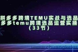 拼多多跨境TEMU实战与选品，多多temu跨境选品运营实操（33节）