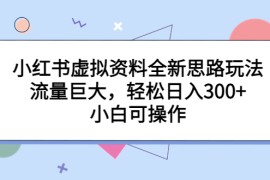 （6585期）小红书虚拟资料全新思路玩法，流量巨大，轻松日入300+，小白可操作