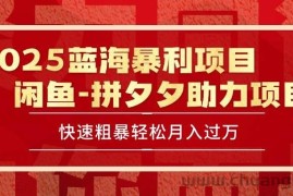 （15359期）2025 最新闲鱼蓝海暴利项目 快速粗暴单号日入1000+，保姆级教程