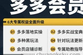 拼多多会员，拼多多实战宝典+实战落地实操，从新手到高阶内容全面覆盖