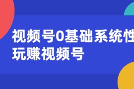 （1624期）视频号0基础系统性玩赚视频号内容运营+引流+快速变现（20节课）