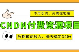 （5137期）CNDN付费资源项目，不用引流，无需做客服，后期被动收入，每天稳定300+