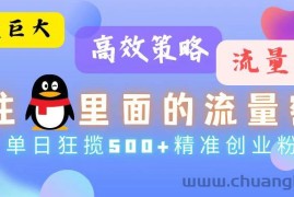 （13068期）流量蓝海，抓住QQ里面的流量密码！高效策略，单日狂揽500+精准创业粉