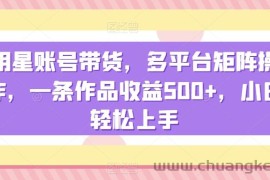 明星账号带货，多平台矩阵操作，一条作品收益500+，小白轻松上手【揭秘】