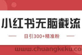 小红书只要你有同行就能获客，独家野路子获客玩法，暴力截流【揭秘】