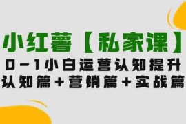 （9910期）小红薯【私家课】0-1玩赚小红书内容营销，认知篇+营销篇+实战篇（11节课）