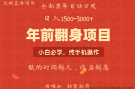 年前可以翻身的项目，日入2000+ 主打长久稳定，利润空间非常的大