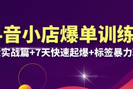 （6348期）抖音小店爆单训练营VIP线下课：6大实战篇+7天快速起爆+标签暴力玩法(32节)