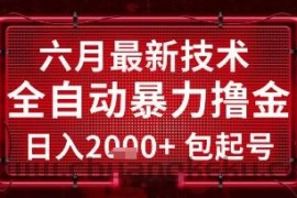 六月最新技术全自动暴力撸金，稳定日入2k+包起号，长期稳定【揭秘】
