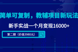 （4422期）简单可复制，教辅项目新玩法，新手实战一个月变现16000+（第2期+课程+资料)