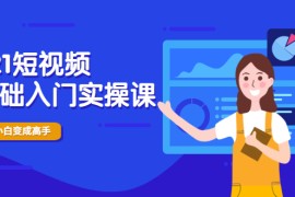 （1914期）2021短视频0基础入门实操课，新手必学，快速帮助你从小白变成高手