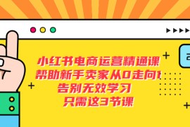 （5764期）小红书电商·运营精通课，帮助新手卖家从0走向1 告别无效学习（7节视频课）