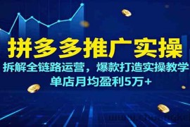 拼多多推广实操，拆解全链路运营，爆款打造实操教学，单店月均盈利5万+