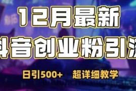 最新公开：12月份抖音日引500+创业粉秘籍