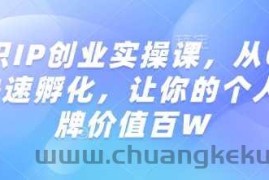 知识IP创业实操课，从0到1快速孵化，让你的个人品牌价值百W