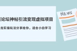 （5784期）天涯论坛神帖引流变现虚拟项目，一条龙实操玩法分享给你（教程+资源）