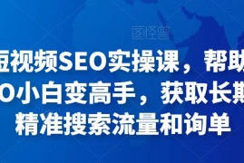 丹迁·短视频SEO实操课，帮助你从短视频SEO小白变高手，获取长期稳定的精准搜索流量和询单