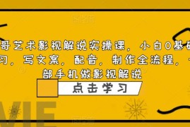 （6433期）影视解说实战课，小白0基础 写文案 配音 制作全流程 一部手机做影视解说