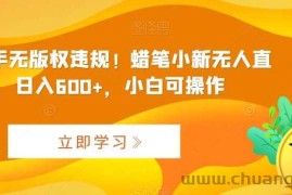 最新快手无版权违规！蜡笔小新无人直播，日入600+，小白可操作【揭秘】