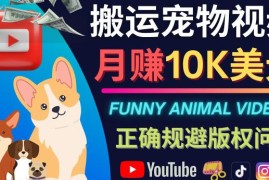 搬运TIKTOK视频到YouTube，并进行二次创作，月赚1万美元以上