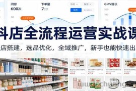 抖店全流程运营实战课：开店搭建，选品优化，全域推广，新手也能快速出单（更新）