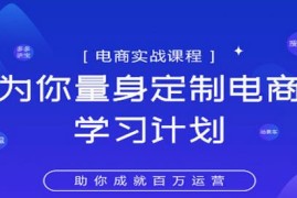 淘宝运营实战宝典鑫老板电商精品小课，为你量身定制电商学习计划