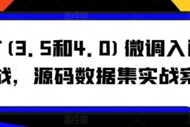 GPT(3.5和4.0)微调入门和实战，源码数据集实战案例