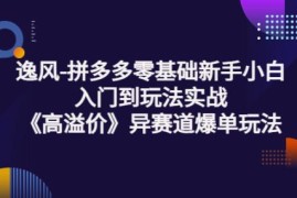 逸风-拼多多零基础新手小白入门到玩法实战《高溢价》异赛道爆单玩法实操课