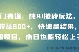 冷门赛道，纯AI搬砖玩法，单日收益800+，快速拿结果，长期项目，小白也能轻松上手【揭秘】