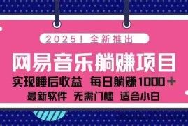 （14185期）2025最新网易云躺赚项目 每天几分钟 轻松3万+