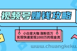 （3020期）玩转微信视频号赚钱：小白变大咖 涨粉百万 实现快速变现1000万的现金流