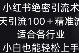 小红书绝密引流术，一天引流100＋精准流量，适合各个行业，小白也能轻松上手