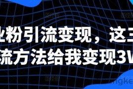 创业粉引流变现，这三种引流方法给我变现3W+【揭秘】