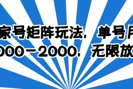 （6345期）百家号矩阵玩法，单号月产1000-2000，无限放大