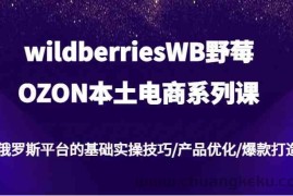 wildberriesWB野莓/OZON本土电商系列课，俄罗斯平台的基础实操技巧/产品优化/爆款打造