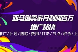 （11454期）亚马逊卖家月利润百万的推广秘诀，推广/计划/测款/费用/打法/节点/秒杀…