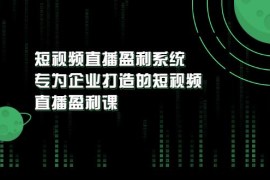 （3085期）《短视频直播盈利系统》专为企业打造的短视频直播盈利课