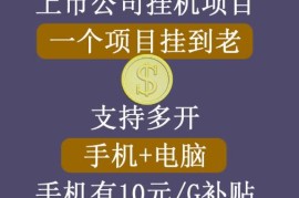 【上市公司】睿思挂机项目，一个项目挂到老，支持手机+电脑+虚拟机多开