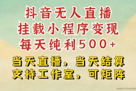 抖音无人挂机项目，轻松日入500+,挂载小程序玩法，不违规不封号，有号的一定挂起来