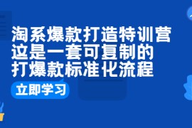 （6478期）淘系爆款打造特训营：这是一套可复制的打爆款标准化流程