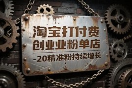 淘宝打付费创业粉单店每天稳定10-20精准粉持续增长【揭秘】