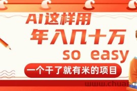 （14607期）AI这样用，年入几十万，一个干了就有米的项目