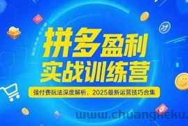 （15183期）拼多多盈利实战训练营，强付费玩法深度解析，2025最新运营技巧合集