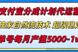 （15592期）支付宝分成计划代运营，最新自然流技术，收益稳定，单号月产5000＋！