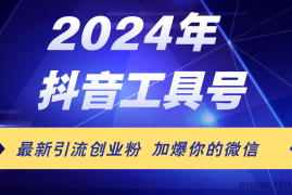 （12149期）24年抖音最新工具号日引流300+创业粉，日入5000+