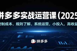 拼多多实战运营课（2025），控制成本、规则了解、系统运营，小投入，高收益！