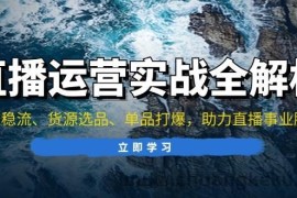 （13294期）直播运营实战全解析：起号稳流、货源选品、单品打爆，助力直播事业腾飞