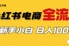 （6805期）外面收费4988的小红书无货源电商从0-1全流程，日入1000＋