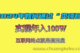 （13419期）2024年如何通过“卖项目”赚取100W：最值得尝试的盈利模式