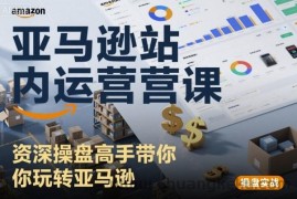 亚马逊站内运营课：资深操盘高手带你玩转亚马逊